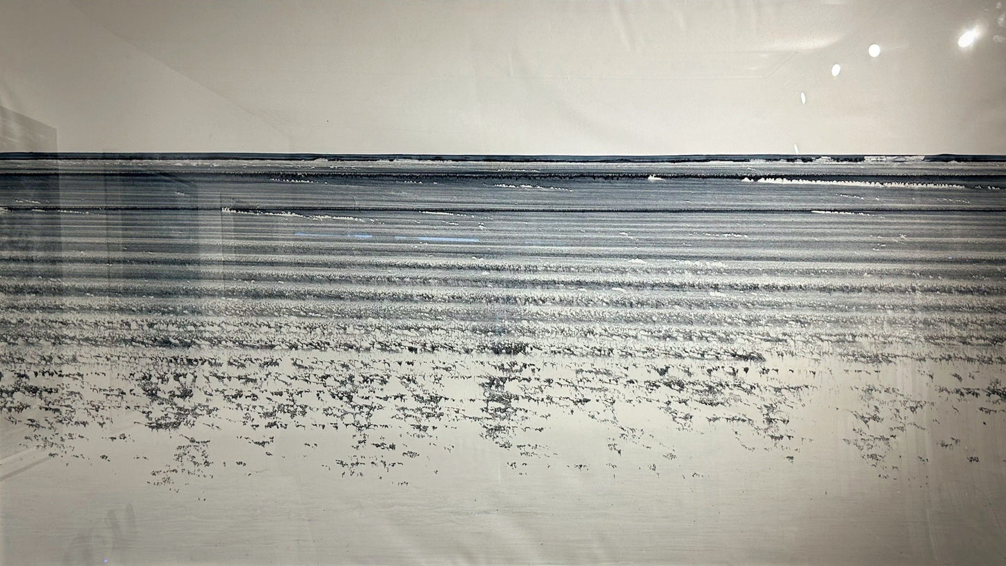 Lukáš Kalivoda - 4032022