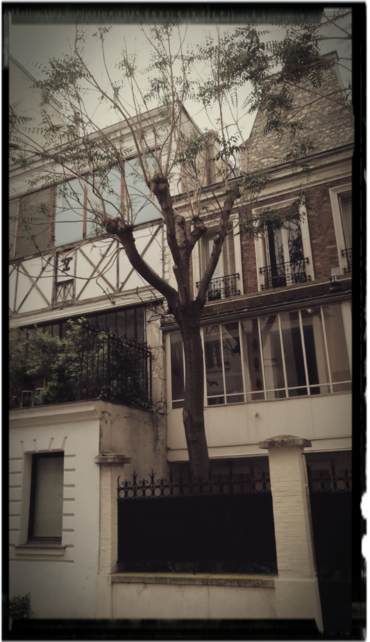 CHANG, Chung-Liang - French Living Images Series, Paris
